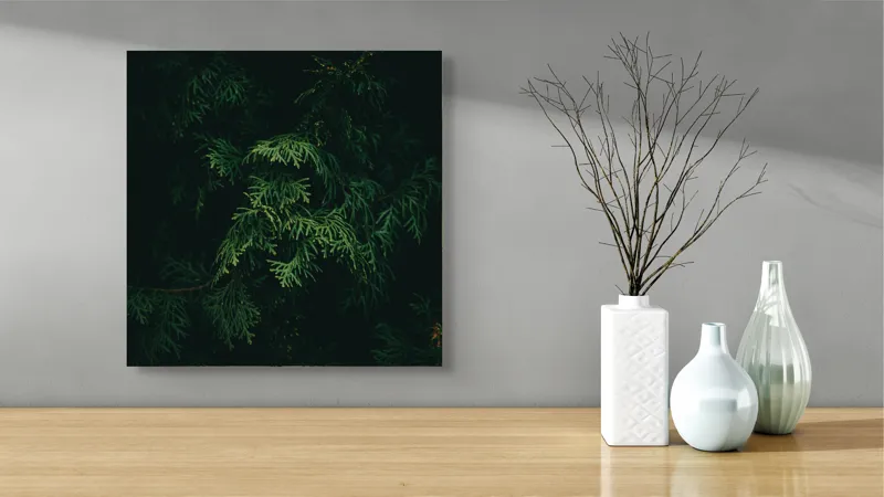 Tablou Canvas, "Frumusețea misterioasă a frunzelor de conifer", Verde, Frunze, Întuneric, Natură, Mister, Contrast, Liniște, 50 x 50 cm – poza 3