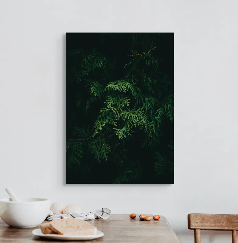 Tablou Canvas, "Frumusețea misterioasă a frunzelor de conifer", Verde, Frunze, Întuneric, Natură, Mister, Contrast, Liniște, 50 x 70 cm – poza 3
