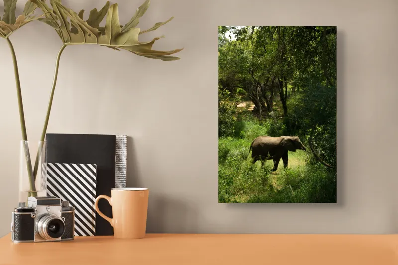 Tablou Canvas, "Elefant în pădurea verde intensă", Elefant, Pădure, Verdeață, Natură, Tufişuri, Serenitate, Sălbăticie, Vegetaţie, Arbori, Umbre, 26 x 39 cm – poza 3