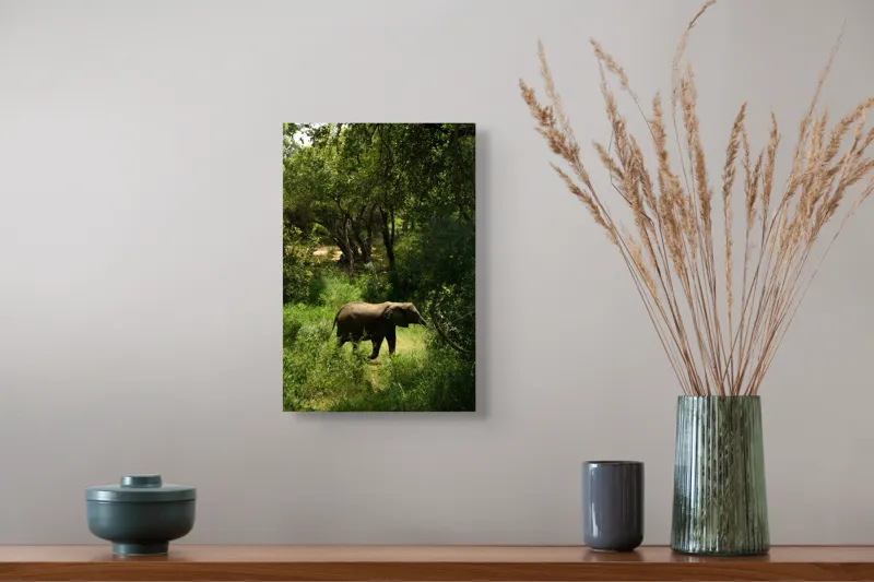 Tablou Canvas, "Elefant în pădurea verde intensă", Elefant, Pădure, Verdeață, Natură, Tufişuri, Serenitate, Sălbăticie, Vegetaţie, Arbori, Umbre, 26 x 39 cm – poza 5