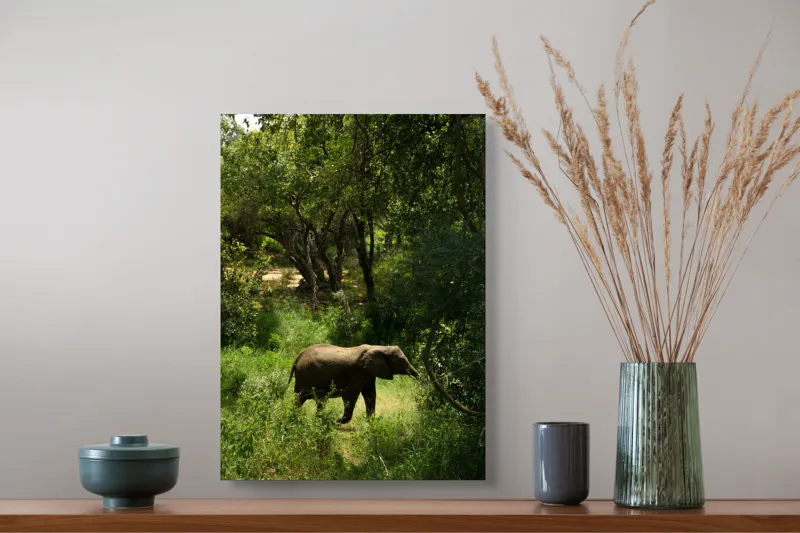 Tablou Canvas, "Elefant în pădurea verde intensă", Elefant, Pădure, Verdeață, Natură, Tufişuri, Serenitate, Sălbăticie, Vegetaţie, Arbori, Umbre, 39 x 54 cm – poza 3