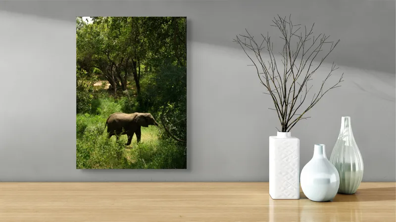 Tablou Canvas, "Elefant în pădurea verde intensă", Elefant, Pădure, Verdeață, Natură, Tufişuri, Serenitate, Sălbăticie, Vegetaţie, Arbori, Umbre, 39 x 54 cm – poza 4