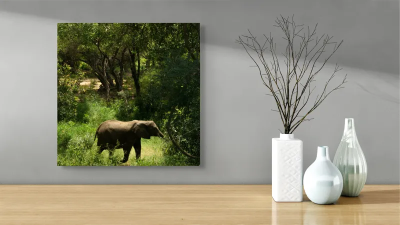 Tablou Canvas, "Elefant în pădurea verde intensă", Elefant, Pădure, Verdeață, Natură, Tufişuri, Serenitate, Sălbăticie, Vegetaţie, Arbori, Umbre, 50 x 50 cm – poza 3