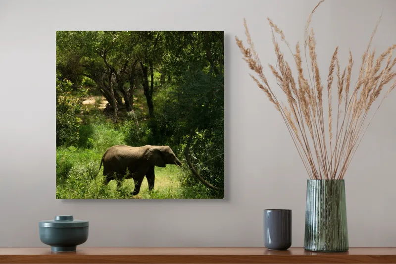 Tablou Canvas, "Elefant în pădurea verde intensă", Elefant, Pădure, Verdeață, Natură, Tufişuri, Serenitate, Sălbăticie, Vegetaţie, Arbori, Umbre, 50 x 50 cm – poza 4