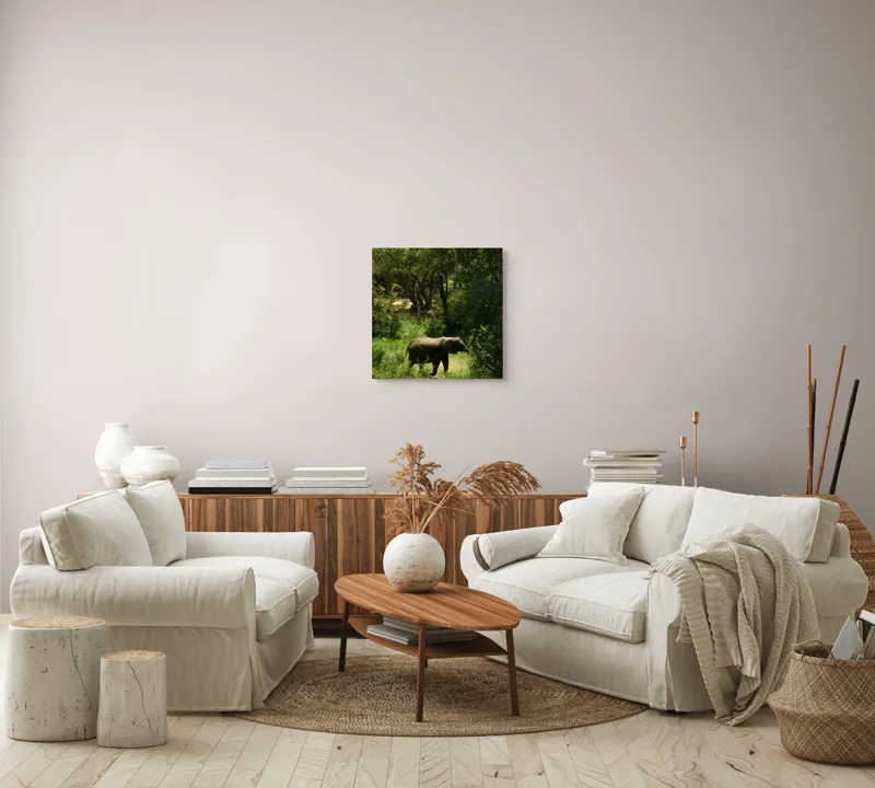Tablou Canvas, "Elefant în pădurea verde intensă", Elefant, Pădure, Verdeață, Natură, Tufişuri, Serenitate, Sălbăticie, Vegetaţie, Arbori, Umbre, 50 x 50 cm – poza 7