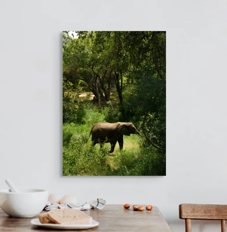 Tablou Canvas, "Elefant în pădurea verde intensă", Elefant, Pădure, Verdeață, Natură, Tufişuri, Serenitate, Sălbăticie, Vegetaţie, Arbori, Umbre, 50 x 70 cm – poza 3