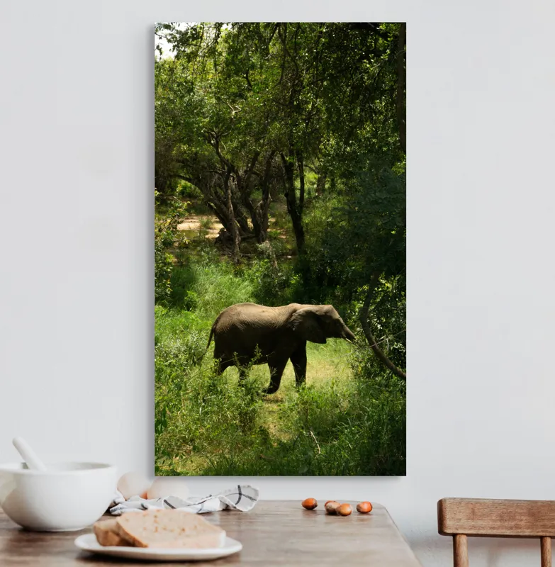 Tablou Canvas, "Elefant în pădurea verde intensă", Elefant, Pădure, Verdeață, Natură, Tufişuri, Serenitate, Sălbăticie, Vegetaţie, Arbori, Umbre, 50 x 90 cm – poza 3