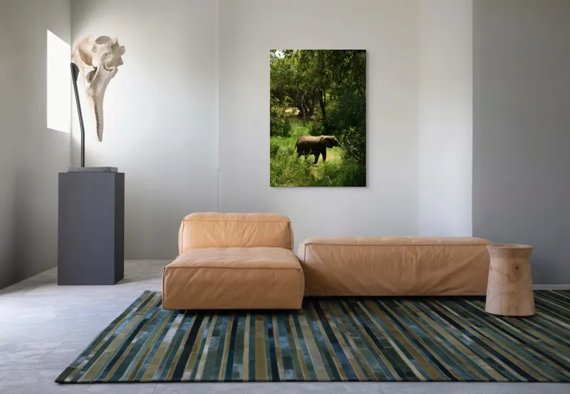 Tablou Canvas, "Elefant în pădurea verde intensă", Elefant, Pădure, Verdeață, Natură, Tufişuri, Serenitate, Sălbăticie, Vegetaţie, Arbori, Umbre, 70 x 100 cm – poza 7