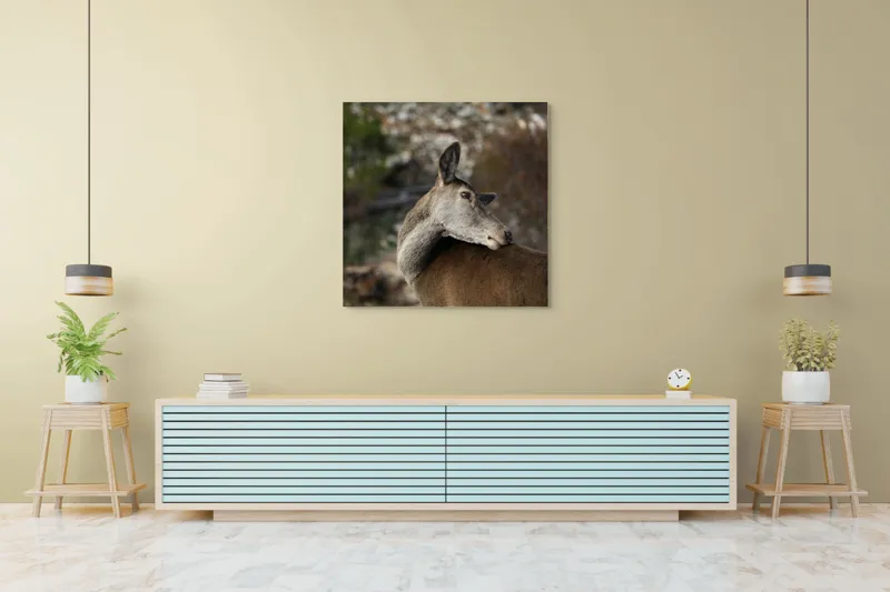 Tablou Canvas, "Caprioara privind spre orizont liniștit", Natură, Căprioară, Viziune, Serenitate, Blândețe, Peisaj, Sălbăticie, Frumusețe, Calm, Echilibru, 100 x 100 cm – poza 5