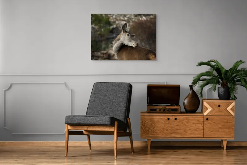 Tablou Canvas, "Caprioara privind spre orizont liniștit", Natură, Căprioară, Viziune, Serenitate, Blândețe, Peisaj, Sălbăticie, Frumusețe, Calm, Echilibru, 100 x 70 cm – poza 8