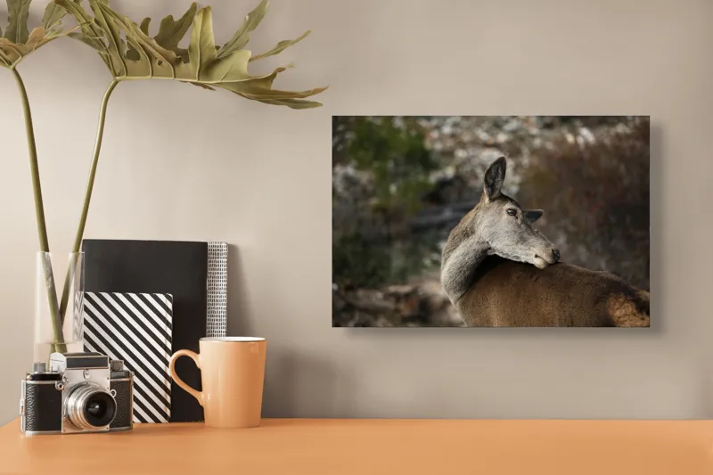 Tablou Canvas, "Caprioara privind spre orizont liniștit", Natură, Căprioară, Viziune, Serenitate, Blândețe, Peisaj, Sălbăticie, Frumusețe, Calm, Echilibru, 39 x 26 cm – poza 3