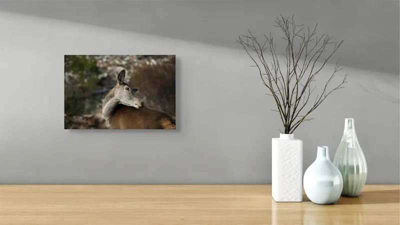 Tablou Canvas, "Caprioara privind spre orizont liniștit", Natură, Căprioară, Viziune, Serenitate, Blândețe, Peisaj, Sălbăticie, Frumusețe, Calm, Echilibru, 39 x 26 cm – poza 8
