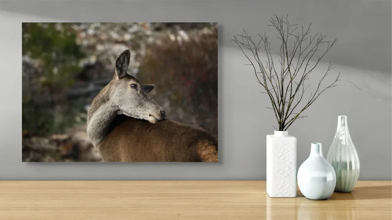 Tablou Canvas, "Caprioara privind spre orizont liniștit", Natură, Căprioară, Viziune, Serenitate, Blândețe, Peisaj, Sălbăticie, Frumusețe, Calm, Echilibru, 70 x 50 cm – poza 3