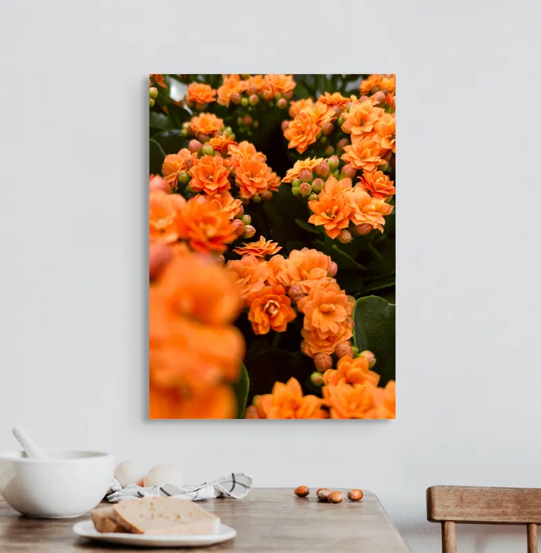 Tablou Canvas, "Floare portocalie în grădină de vis", Flori, Portocalii, Petale, Boboci, Frunze, Vibrante, Delicate, Verzi, Strălucitoare, 50 x 70 cm – poza 3