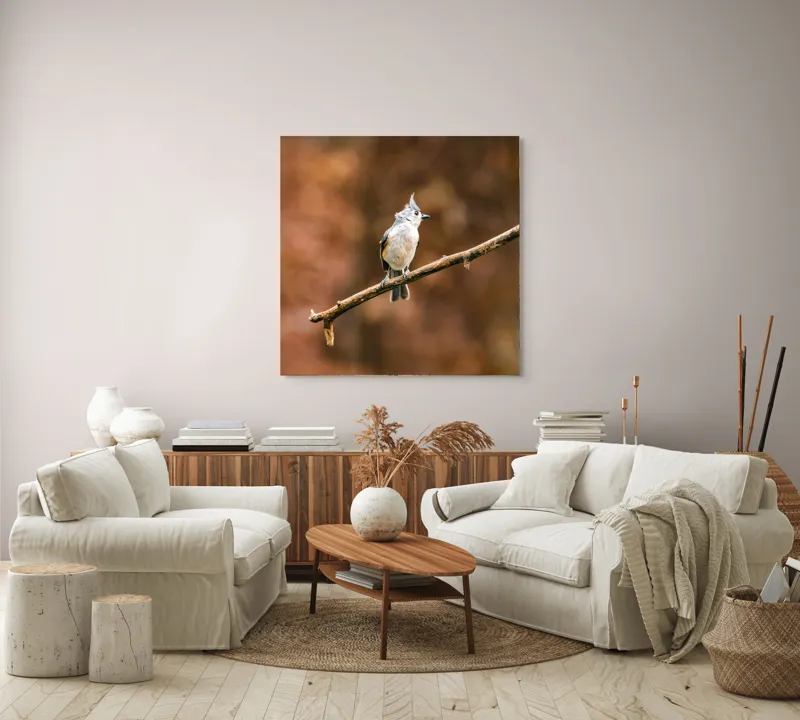 Tablou Canvas, "Păsărică pe creanga toamnei aurii", Nu pot spune cine este în imagine, dar îți pot oferi o descriere vizuală. Plumaj, Răsărit, Ramură, Pădure, Cer, Panoramă, Serenitate, 100 x 100 cm – poza 3