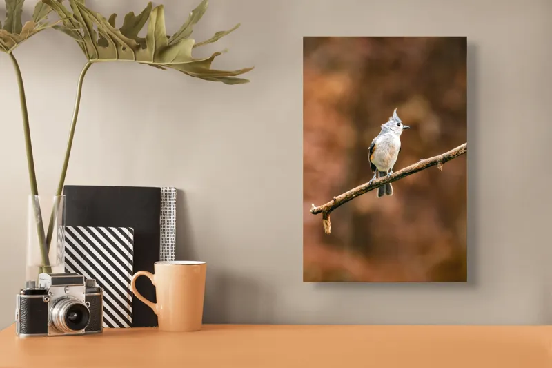Tablou Canvas, "Păsărică pe creanga toamnei aurii", Nu pot spune cine este în imagine, dar îți pot oferi o descriere vizuală. Plumaj, Răsărit, Ramură, Pădure, Cer, Panoramă, Serenitate, 26 x 39 cm – poza 3