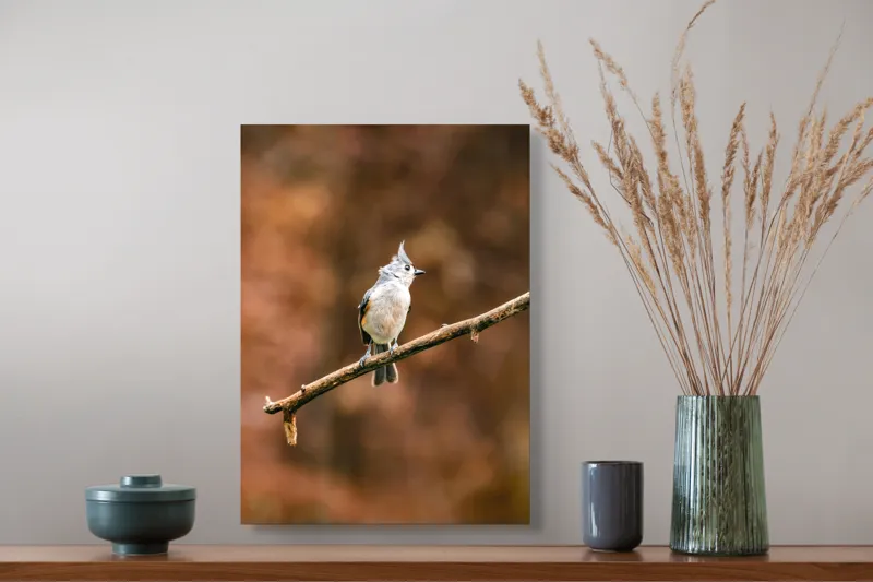 Tablou Canvas, "Păsărică pe creanga toamnei aurii", Nu pot spune cine este în imagine, dar îți pot oferi o descriere vizuală. Plumaj, Răsărit, Ramură, Pădure, Cer, Panoramă, Serenitate, 39 x 54 cm – poza 3