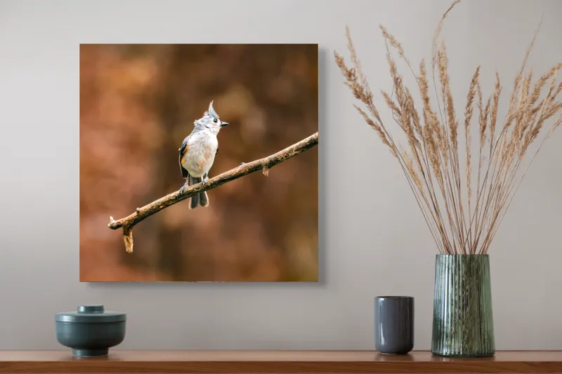 Tablou Canvas, "Păsărică pe creanga toamnei aurii", Nu pot spune cine este în imagine, dar îți pot oferi o descriere vizuală. Plumaj, Răsărit, Ramură, Pădure, Cer, Panoramă, Serenitate, 50 x 50 cm – poza 4