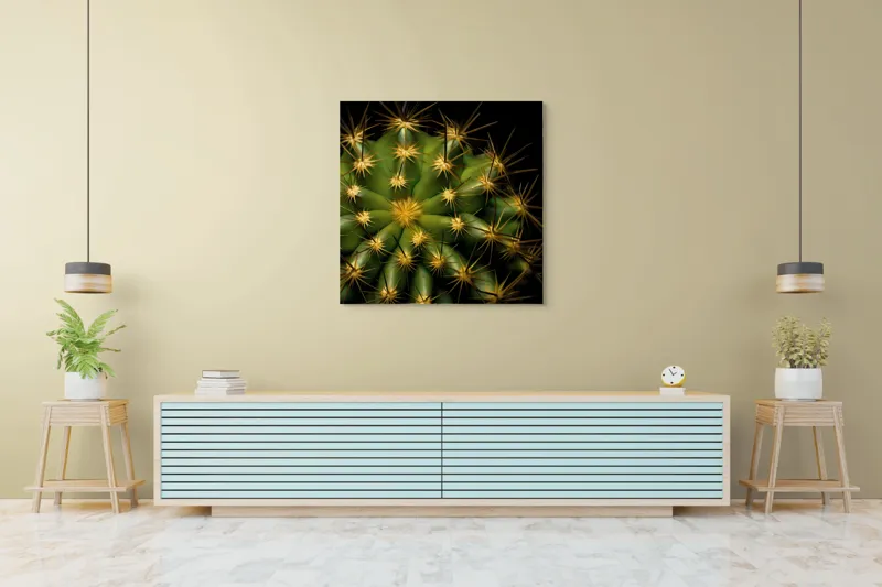 Tablou Canvas, "Cactușul înflorit sub stele aurii", Cactus, Verde, Spini, Lumini, Contrast, Întunecat, Forme, Simetrie, Natură, Detaliu, 100 x 100 cm – poza 5