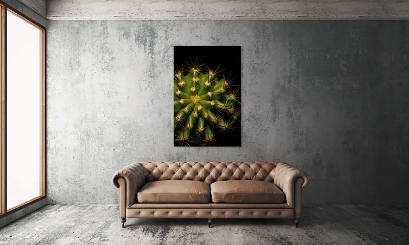 Tablou Canvas, "Cactușul înflorit sub stele aurii", Cactus, Verde, Spini, Lumini, Contrast, Întunecat, Forme, Simetrie, Natură, Detaliu, 100 x 150 cm – poza 6