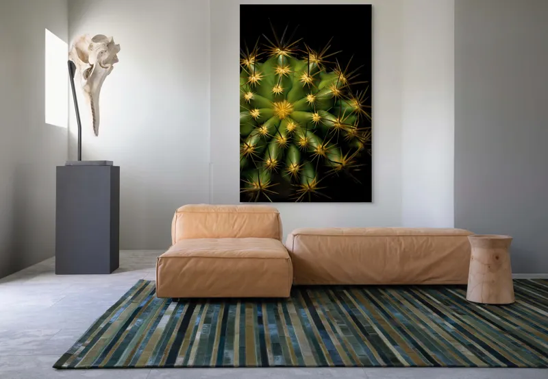 Tablou Canvas, "Cactușul înflorit sub stele aurii", Cactus, Verde, Spini, Lumini, Contrast, Întunecat, Forme, Simetrie, Natură, Detaliu, 100 x 150 cm – poza 7