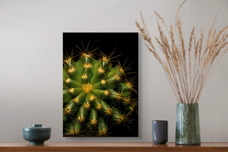 Tablou Canvas, "Cactușul înflorit sub stele aurii", Cactus, Verde, Spini, Lumini, Contrast, Întunecat, Forme, Simetrie, Natură, Detaliu, 39 x 54 cm – poza 3
