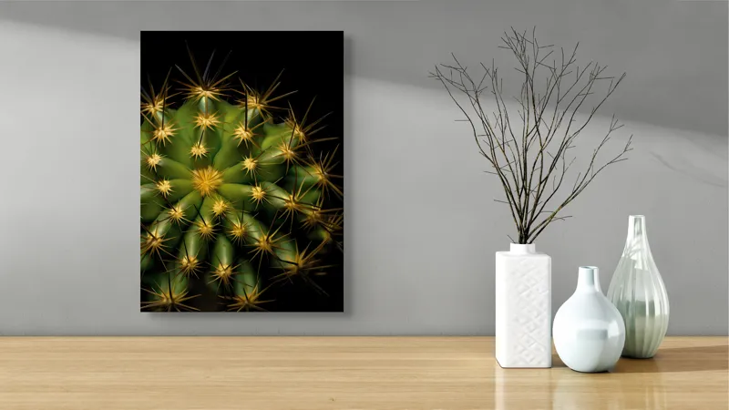 Tablou Canvas, "Cactușul înflorit sub stele aurii", Cactus, Verde, Spini, Lumini, Contrast, Întunecat, Forme, Simetrie, Natură, Detaliu, 39 x 54 cm – poza 4