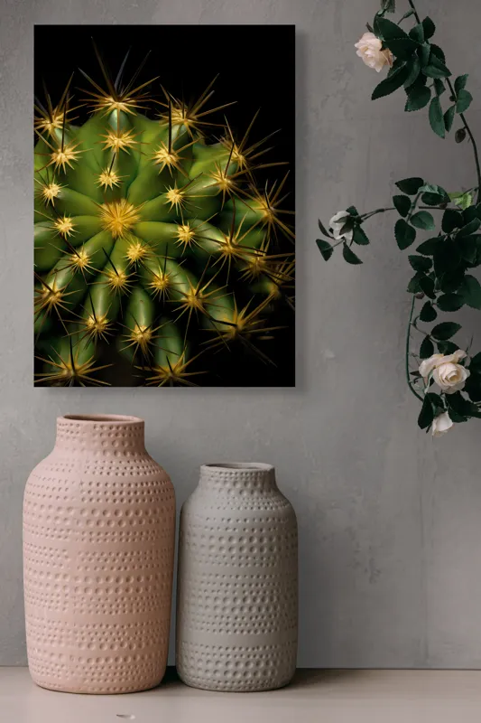 Tablou Canvas, "Cactușul înflorit sub stele aurii", Cactus, Verde, Spini, Lumini, Contrast, Întunecat, Forme, Simetrie, Natură, Detaliu, 39 x 54 cm – poza 6
