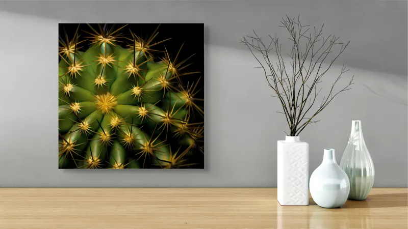 Tablou Canvas, "Cactușul înflorit sub stele aurii", Cactus, Verde, Spini, Lumini, Contrast, Întunecat, Forme, Simetrie, Natură, Detaliu, 50 x 50 cm – poza 3