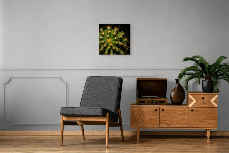 Tablou Canvas, "Cactușul înflorit sub stele aurii", Cactus, Verde, Spini, Lumini, Contrast, Întunecat, Forme, Simetrie, Natură, Detaliu, 50 x 50 cm – poza 6