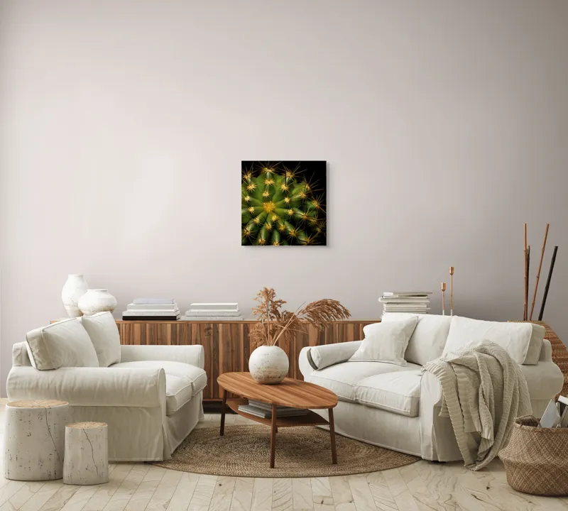 Tablou Canvas, "Cactușul înflorit sub stele aurii", Cactus, Verde, Spini, Lumini, Contrast, Întunecat, Forme, Simetrie, Natură, Detaliu, 50 x 50 cm – poza 7