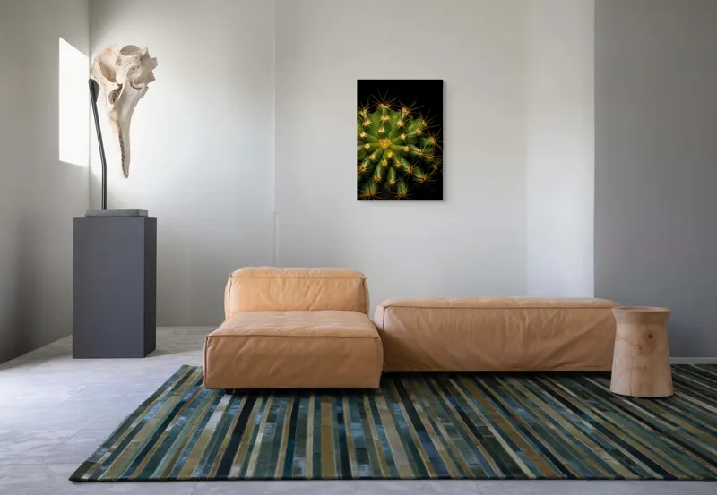 Tablou Canvas, "Cactușul înflorit sub stele aurii", Cactus, Verde, Spini, Lumini, Contrast, Întunecat, Forme, Simetrie, Natură, Detaliu, 50 x 70 cm – poza 7