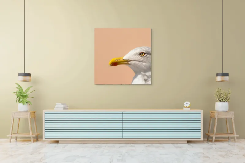 Tablou Canvas, "Pescărușul și privirea sa liniștită", Pescăruș, Cioc, Penaj, Ochi, Fundal, Cer, Liniște, Observație, 100 x 100 cm – poza 5