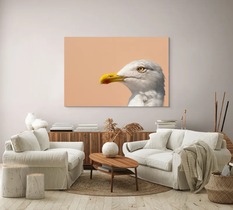Tablou Canvas, "Pescărușul și privirea sa liniștită", Pescăruș, Cioc, Penaj, Ochi, Fundal, Cer, Liniște, Observație, 150 x 100 cm – poza 3