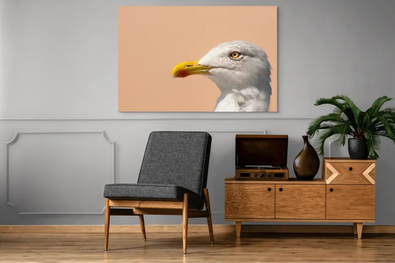 Tablou Canvas, "Pescărușul și privirea sa liniștită", Pescăruș, Cioc, Penaj, Ochi, Fundal, Cer, Liniște, Observație, 150 x 100 cm – poza 8