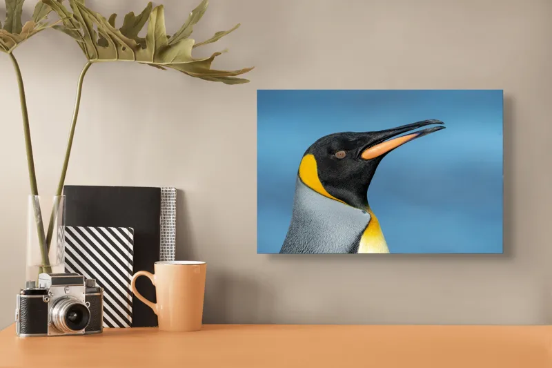 Tablou Canvas, "Pinguin regal în profil elegant", Pinguin, Portocaliu, Negru, Gri, Galben, Ocean, Contrast, Eleganță, Serenitate, 39 x 26 cm – poza 3