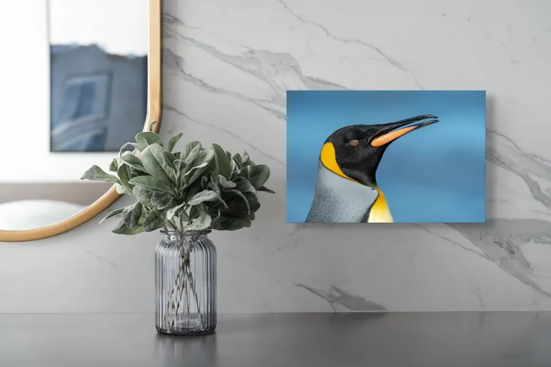 Tablou Canvas, "Pinguin regal în profil elegant", Pinguin, Portocaliu, Negru, Gri, Galben, Ocean, Contrast, Eleganță, Serenitate, 39 x 26 cm – poza 5