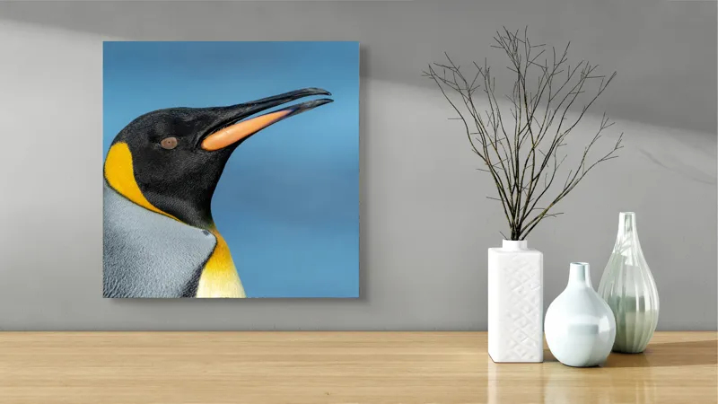 Tablou Canvas, "Pinguin regal în profil elegant", Pinguin, Portocaliu, Negru, Gri, Galben, Ocean, Contrast, Eleganță, Serenitate, 50 x 50 cm – poza 3