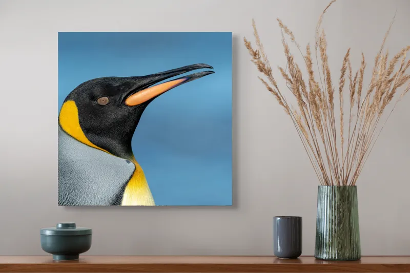 Tablou Canvas, "Pinguin regal în profil elegant", Pinguin, Portocaliu, Negru, Gri, Galben, Ocean, Contrast, Eleganță, Serenitate, 50 x 50 cm – poza 4