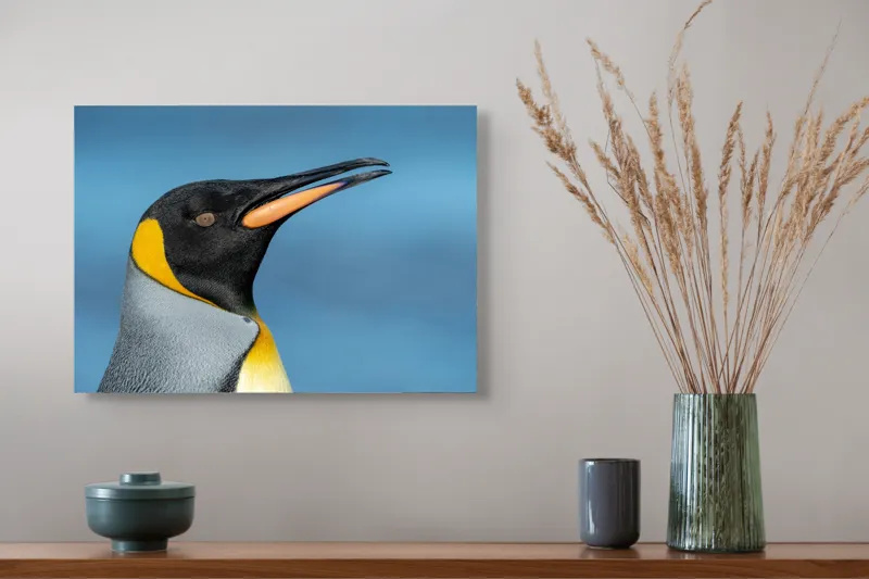 Tablou Canvas, "Pinguin regal în profil elegant", Pinguin, Portocaliu, Negru, Gri, Galben, Ocean, Contrast, Eleganță, Serenitate, 54 x 39 cm – poza 4