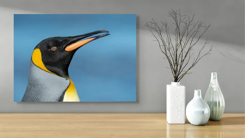 Tablou Canvas, "Pinguin regal în profil elegant", Pinguin, Portocaliu, Negru, Gri, Galben, Ocean, Contrast, Eleganță, Serenitate, 70 x 50 cm – poza 3
