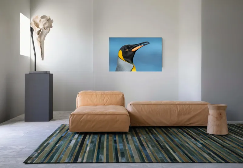 Tablou Canvas, "Pinguin regal în profil elegant", Pinguin, Portocaliu, Negru, Gri, Galben, Ocean, Contrast, Eleganță, Serenitate, 90 x 50 cm – poza 8