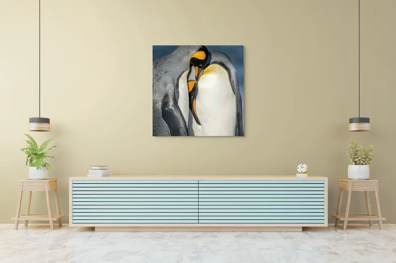 Tablou Canvas, "Îmbrățișarea pinguinilor împărătești", Penguins, Tenderness, Connection, Intimacy, Nature, Affection, 100 x 100 cm – poza 5