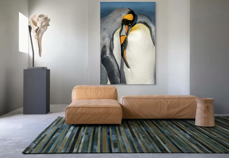 Tablou Canvas, "Îmbrățișarea pinguinilor împărătești", Penguins, Tenderness, Connection, Intimacy, Nature, Affection, 100 x 150 cm – poza 7