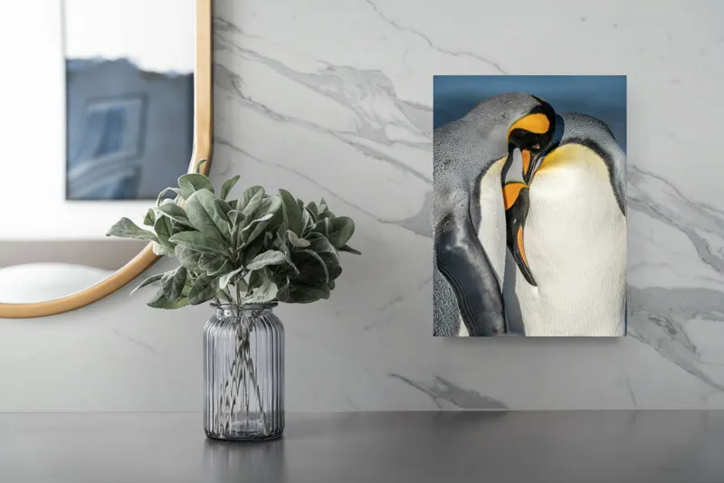 Tablou Canvas, "Îmbrățișarea pinguinilor împărătești", Penguins, Tenderness, Connection, Intimacy, Nature, Affection, 26 x 39 cm – poza 4