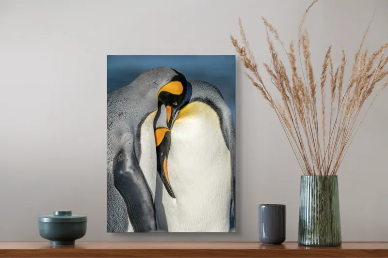 Tablou Canvas, "Îmbrățișarea pinguinilor împărătești", Penguins, Tenderness, Connection, Intimacy, Nature, Affection, 39 x 54 cm – poza 3