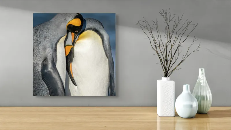 Tablou Canvas, "Îmbrățișarea pinguinilor împărătești", Penguins, Tenderness, Connection, Intimacy, Nature, Affection, 50 x 50 cm – poza 3