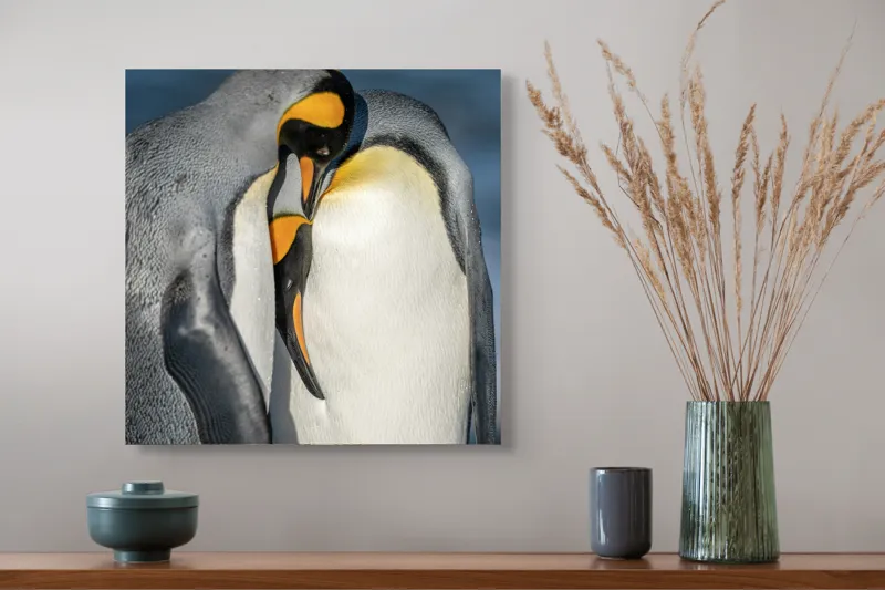 Tablou Canvas, "Îmbrățișarea pinguinilor împărătești", Penguins, Tenderness, Connection, Intimacy, Nature, Affection, 50 x 50 cm – poza 4