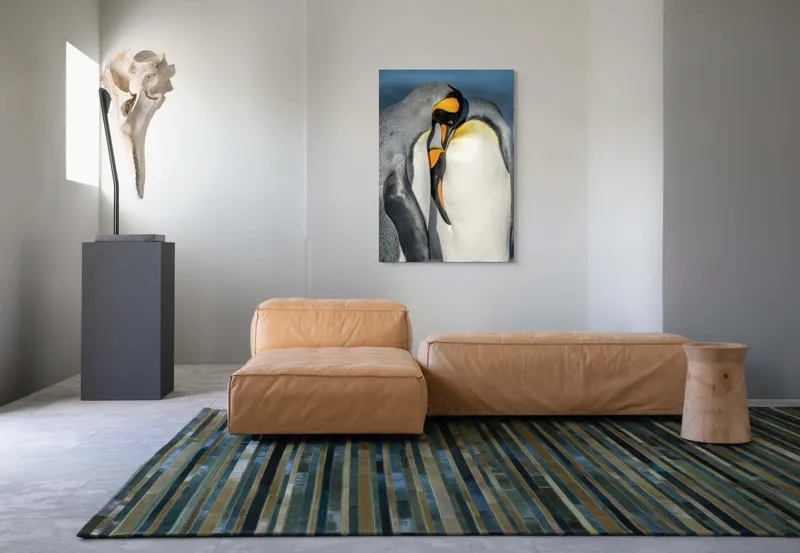 Tablou Canvas, "Îmbrățișarea pinguinilor împărătești", Penguins, Tenderness, Connection, Intimacy, Nature, Affection, 70 x 100 cm – poza 7
