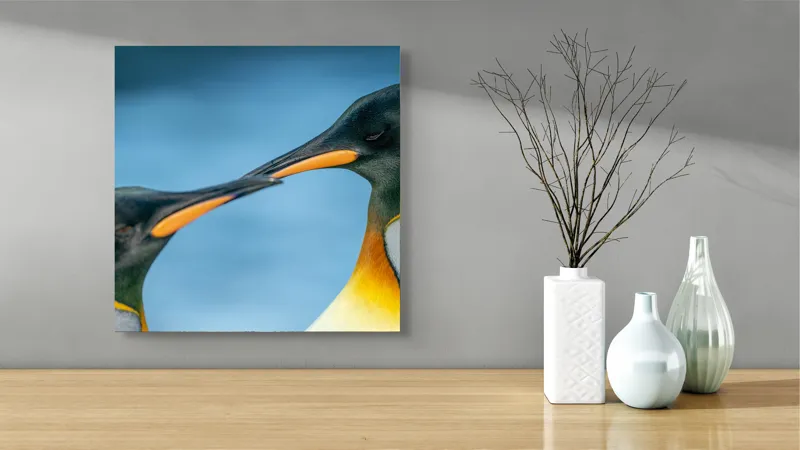 Tablou Canvas, "Întâlnirea sufletelor sub cerul arctic", Pinguini, Afecțiune, Colorat, Apropiere, Ocean, Eleganță, Grație, Natură, Serenitate, Armonie., 50 x 50 cm – poza 3